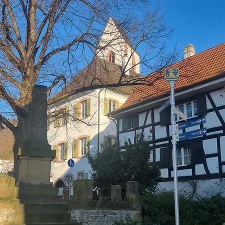 Appartement Regio Basiliensis à Grenzach-Wyhlen Extérieur photo